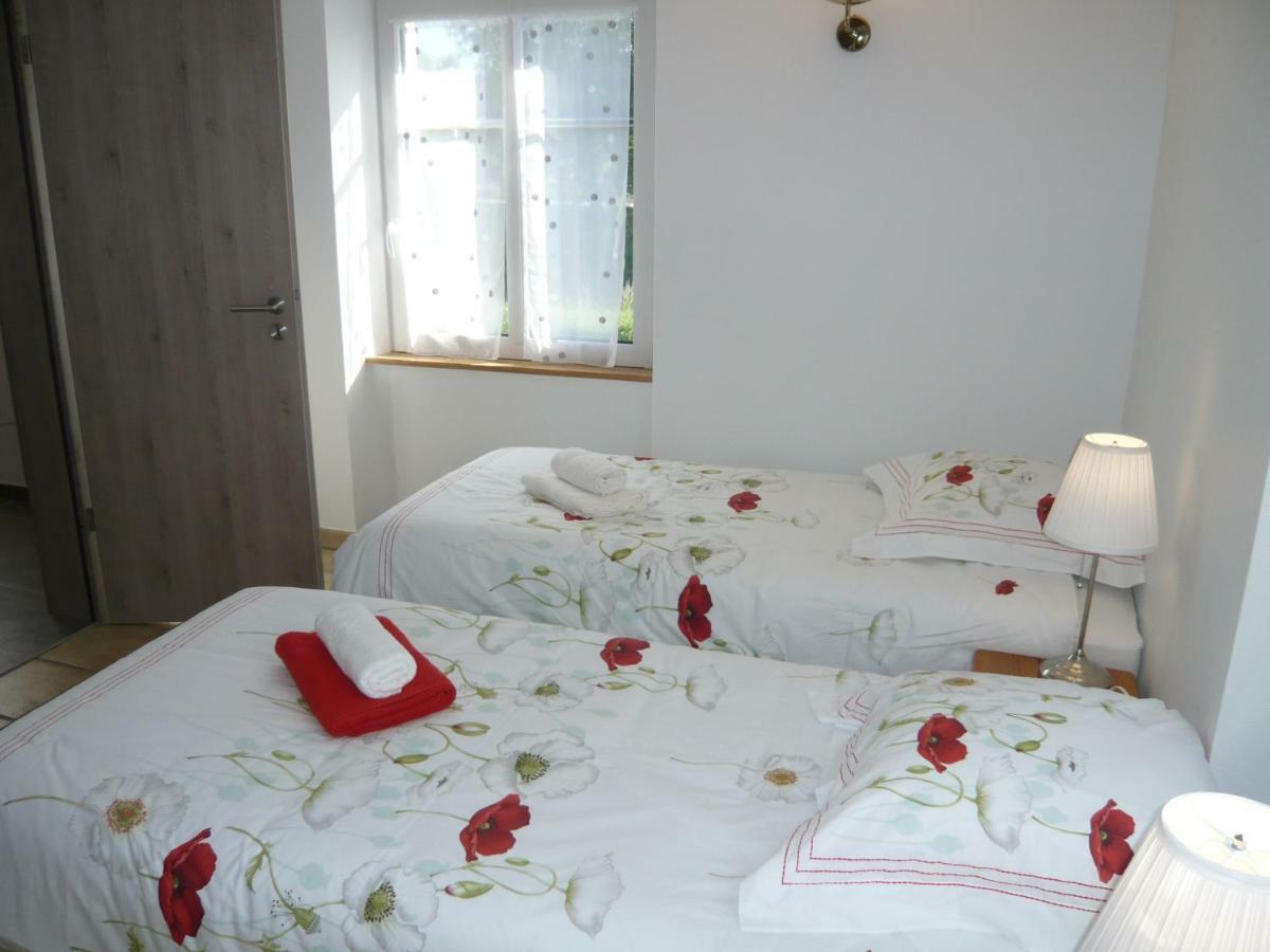 Maison Des Ecluses Strasbourg F3 90M2 Jacuzzi Climatisation エクステリア 写真