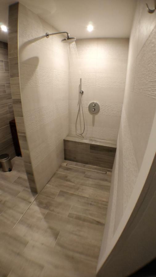 Maison Des Ecluses Strasbourg F3 90M2 Jacuzzi Climatisation エクステリア 写真