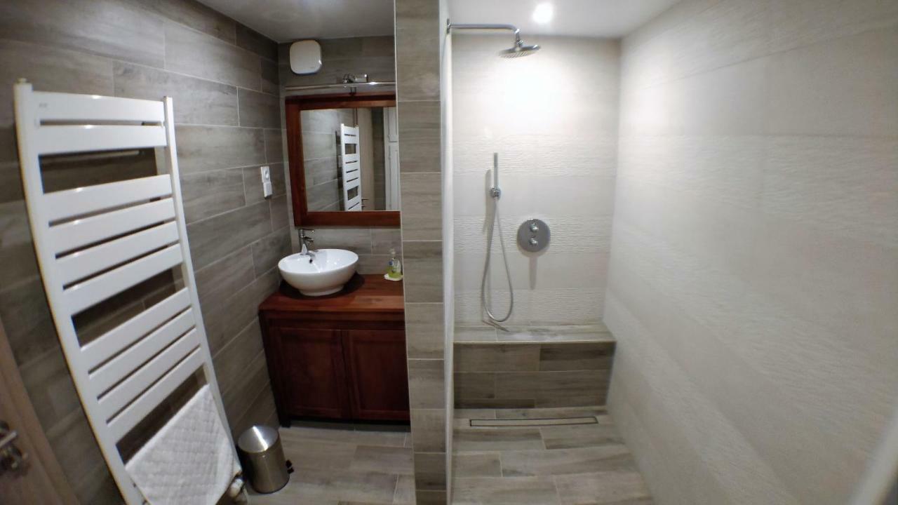 Maison Des Ecluses Strasbourg F3 90M2 Jacuzzi Climatisation エクステリア 写真